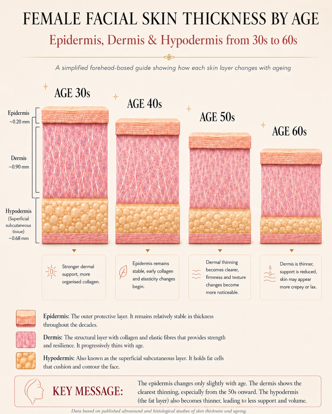 Diagram comparing the thickness of the epidermis, dermis and hypodermis in female facial skin across the thirties, forties, fifties and sixties