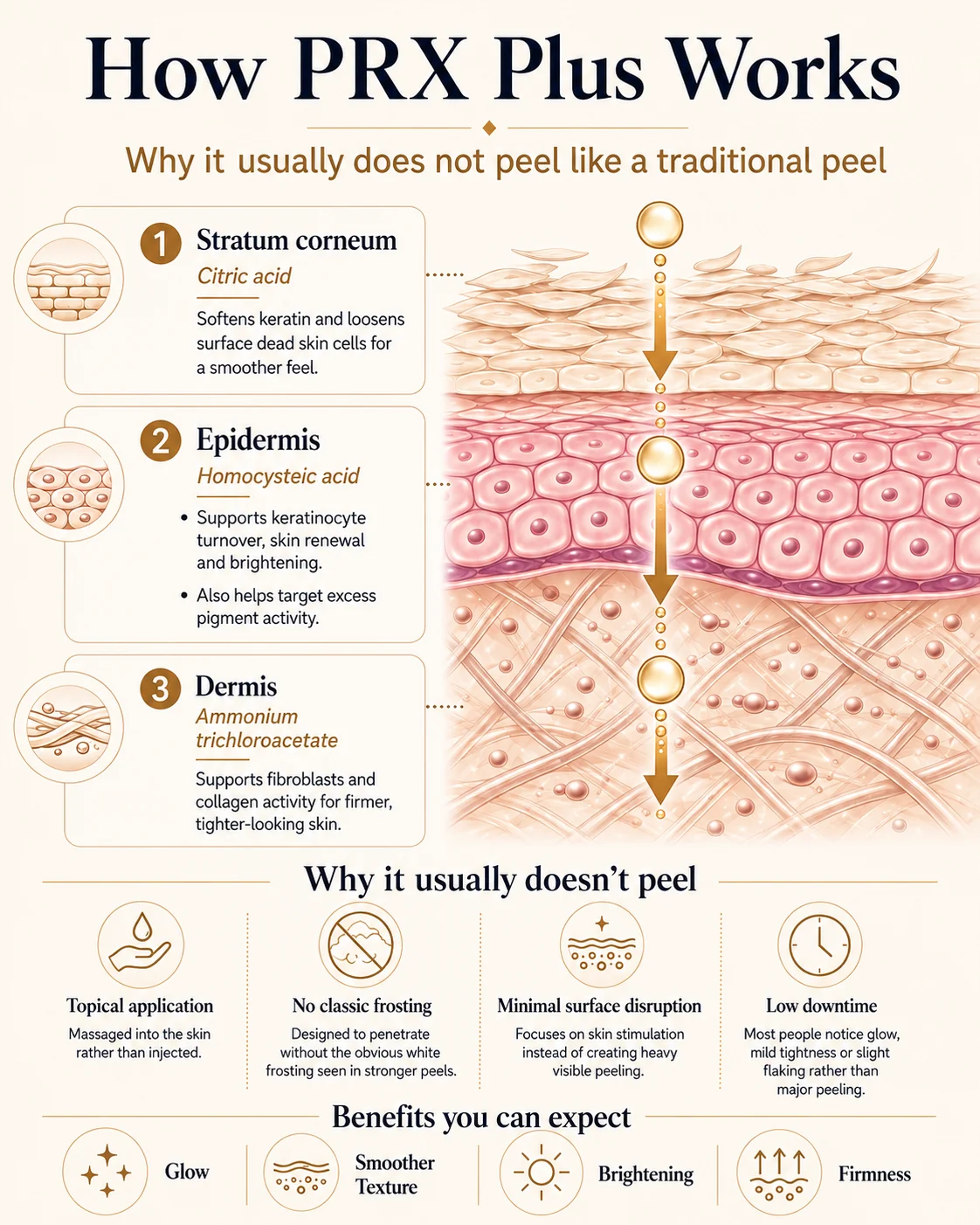 Cross-section diagram of skin showing which PRX-Plus ingredient acts at the stratum corneum, epidermis and dermis, and why the treatment usually does not cause peeling